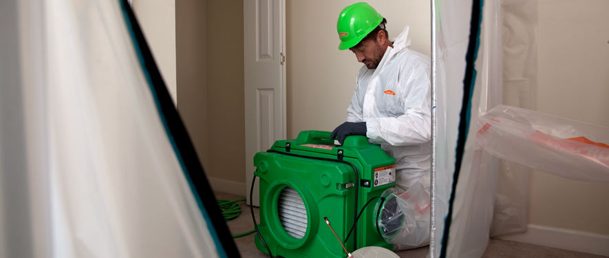 Sienna, TX mold cleanup
