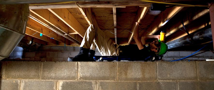 Sienna, TX mold removal