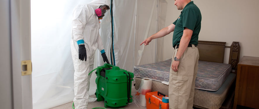 Sienna, TX mold removal process